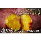 惣菜 レトルト 冷凍 冷凍焼き芋 塩やきいも