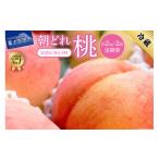 ふるさと納税 山梨県 富士吉田市 【2024年先行予約】【2回定期便】山梨朝どれ桃2kg×2回配送（白鳳系・白桃系）定期便 2回  白鳳系 白桃系 もも