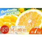 ふるさと納税 みかん