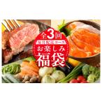 ふるさと納税 牛肉 ステーキ 大阪府 泉佐野市 泉佐野お楽しみ福袋 定期便 全3回 牛肉 ステーキ 海鮮 サーモン 野菜 毎月発送コース