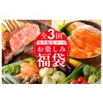 ふるさと納税 大阪府 泉佐野市 泉佐野お楽しみ福袋 定期便 全3回 牛肉 ステーキ 海鮮 サーモン 野菜【毎月発送コース】