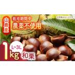 fu.... налог фрукты вид каштан Kumamoto префектура гора олень город предшествующий предварительный заказ мир каштан примерно 1kg L~3L Kumamoto гора олень ..... каштан sumire ферма ZEP057