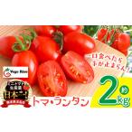 fu.... налог помидор мини помидоры Kumamoto префектура шар название город мини помидоры производство количество Япония один шар название город [toma* фонарь ] примерно 2kg | мини помидоры помидор Vege Rise овощи высота сахар раз ....