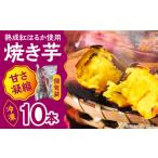 野菜類 サツマイモ 焼き芋 ねっとり甘い熟成サツマイモ