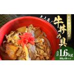 肉 3営業日発送 太平寺うどんの大 牛丼の具