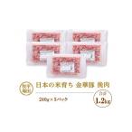 ふるさと納税 豚肉 ハンバーグ 山形県 酒田市 SA2002 平田牧場 日本の米育ち 金華豚 挽肉 計1.2kg(240g×5パック)