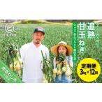 ふるさと納税 野菜類 玉ねぎ 兵庫県 南あわじ市  12ヶ月定期便 「追熟甘玉ねぎ」３kg