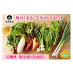 セット 詰合せ 定期便 毎月12回お届け 柴海農園