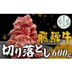 ふるさと納税 牛肉 すき焼き 岐阜県 東白川村  6月発送 飛騨牛 切り落とし 600g 牛肉 和牛 肉 切落し ブランド牛 国産 10000円 6月発送