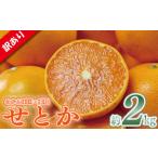 ふるさと納税 みかん・柑橘類 愛媛県 松山市 訳あり せとか 約2kg 愛媛みかん 家庭用 せとか セトカ みかん ミカン 蜜柑 mikan 高級柑橘 果物 くだもの フルー…