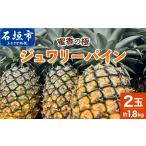 果物類 蜜香の極 ジュワリーパイン 2玉