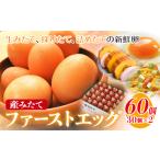 卵 鶏 烏骨鶏等 たまご 赤玉 ファーストエッグ 60個