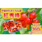 ふるさと納税 果物類 さくらんぼ 山形県 山形市 やまがた さくらんぼ 紅秀峰