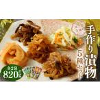 加工品等 漬物 手作り漬物 5種セット 合計820g