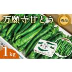 万願寺甘とう 秀品 1kg