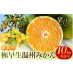 ふるさと納税 果物類 みかん 三重県 紀宝町 先行予約 訳あり 極早生温州みかん 約10kg+傷み保証分400g 2S〜3Lサイズおまかせ 2025年9月下旬から10月中旬まで…