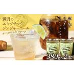 果汁飲料 セット 満月のエキゾチックジンジャエール 320ml×…