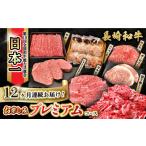 牛肉 ステーキ 12回定期便 長崎和牛お楽しみセット