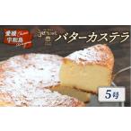 菓子 カステラ 冷凍ケーキ ケーキ バターカステラ
