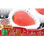 ふるさと納税 いちご 栃木県 真岡市 2026年先行予約 鮮度抜群 朝採れ旬の高級とちあいか 450g以上 真岡市 栃木県 送料無料