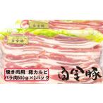ふるさと納税 豚肉 焼肉・バーベキュー 岩手県 花巻市 白金豚 焼肉用豚カルビ(バラ500g×2パック) 1814
