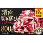 猪肉 令和8年熊本地震復興支援 切り落とし 800g