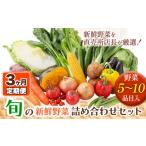 セット 詰合せ 206. 3ヶ月定期便 旬の新鮮野菜詰め合わせセ…