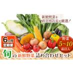 セット 詰合せ 207. 6ヶ月定期便 旬の新鮮野菜詰め合わせセ…
