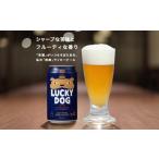 ふるさと納税 ビール 地ビール 京都府 京都市 黄桜 クラフトビール 「ラッキードッグ」 (350ml缶×24本)[ キザクラ カッパ 京都 お酒 麦酒 ビール 缶ビー…