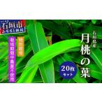 野菜類 自然栽培の月桃の葉20枚 セット