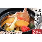 お家でスープカレー ちと辛いぞね 2袋