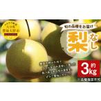 037-1055x2 梨 約3kg