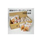 パン たんぱく質調整食品 3か月定期便 越後のバーガーパン …