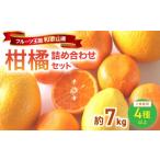 果物類 みかん 柑橘詰め合わせセット 4種以上