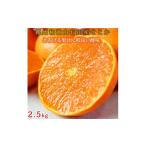 ふるさと納税 みかん・柑橘類 和歌山県 高野町 紀州有田産せとか約2.5kg　とろける食感 ジューシー柑橘［2027年2月上旬〜2月下旬頃に順次発送］［先行予約］［…