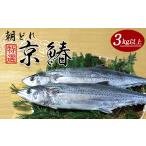 旬の鮮魚等 12月から3月のみ発送 特選