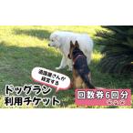 体験チケット ドッグラン利用チケット 回数券6回分