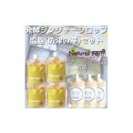 野菜類 ジュース 発酵ジンジャーシロップ&amp;塩麹 計7個