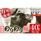 魚貝類のり 福岡有明のり 梅味の味付け海苔 10g×4袋