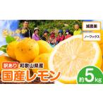 みかん 柑橘類 レモン 訳あり 5kg