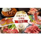 牛肉 ハンバーグ 6ヶ月 定期便 肉 常陸牛 Aコース