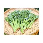 野菜類 大好評 箱いっぱい入れます 茎ブロッコリー