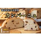 パン カンパーニュ 1ホール 果物入 いちじく