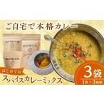 加工品等 カレー はじめてのスパイスカレーミックス 3種