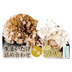 野菜類 きのこ 生まいたけ 白 黒 各約500g