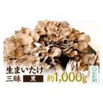 野菜類 きのこ 生まいたけ三昧 黒 約1000g
