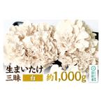 野菜類 きのこ 生まいたけ三昧 白 約1000g