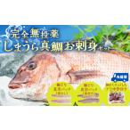 旬の鮮魚等 完全無投薬 しまうら真鯛お刺身セット