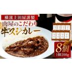 惣菜 レトルト 冷凍 横濱上田屋謹製 肉屋のこだわり牛スジ…