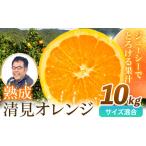 みかん 柑橘類 オレンジ 熟成清見オレンジ 10kg